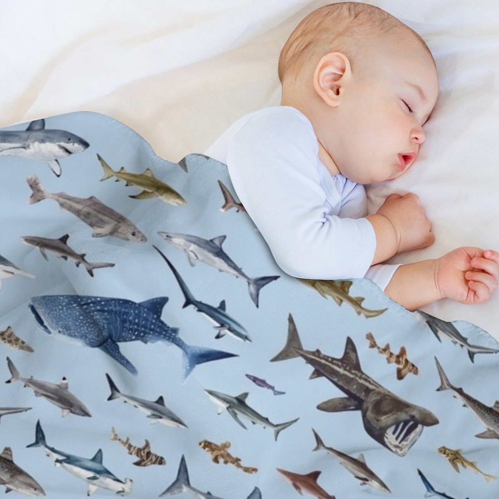 SHARKS poster – lichtblauwe de - Lighting Decoration Ideas For Home recensie en prijs