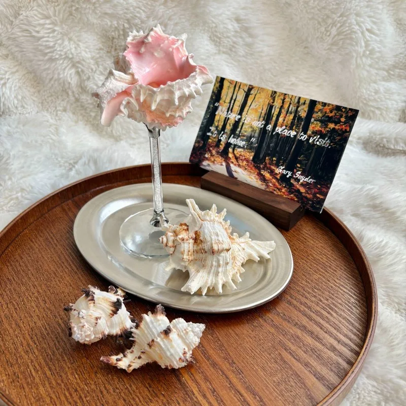 Luxe Conch Shell Champagne Gla - Lighting Decoration Ideas For Home recensie en prijs
